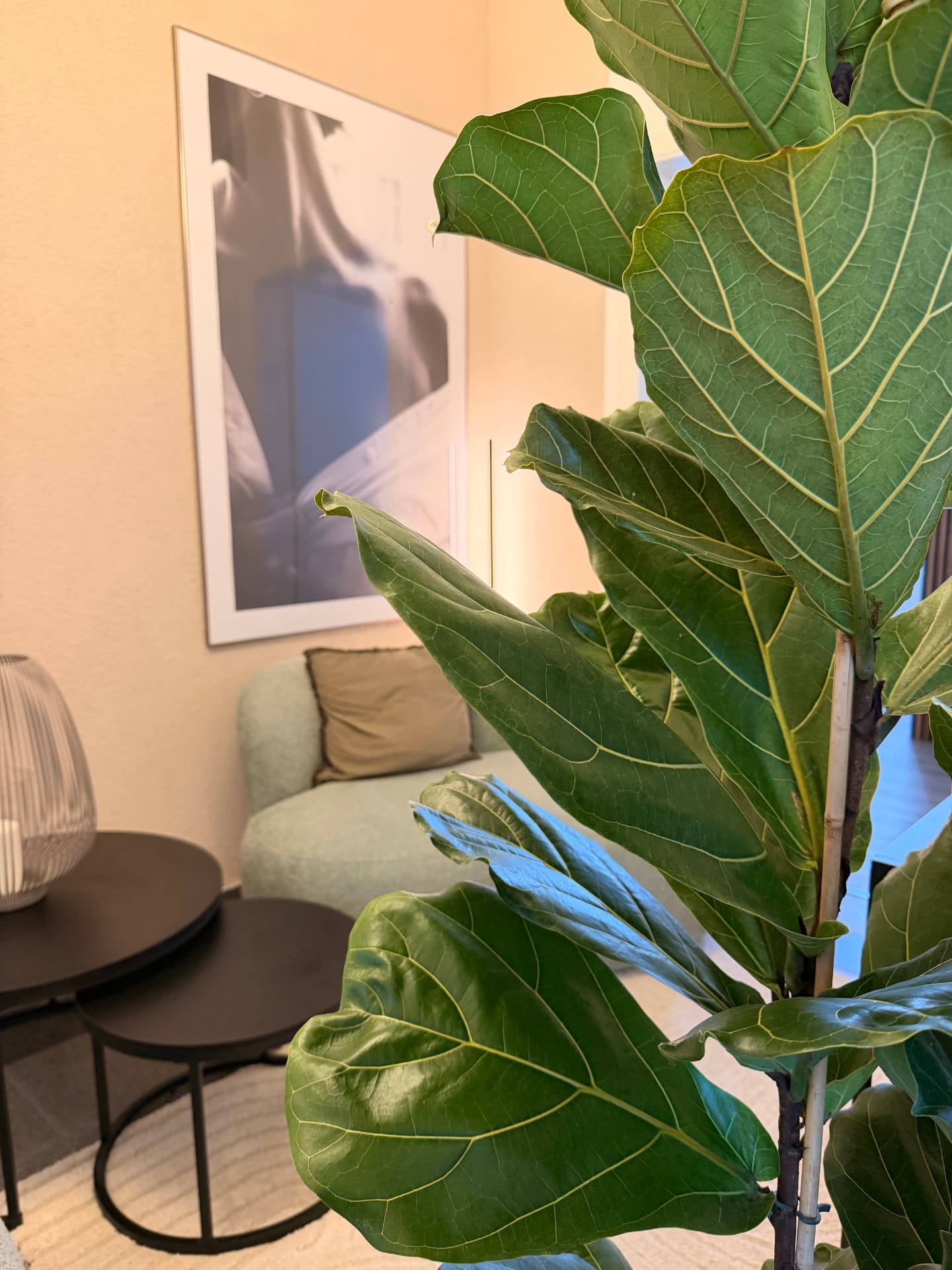 Wartebereich mit Sessel und Pflanze bei Beauty Artistry Villingen